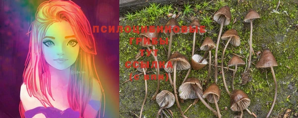 PSILOCYBIN Арсеньев